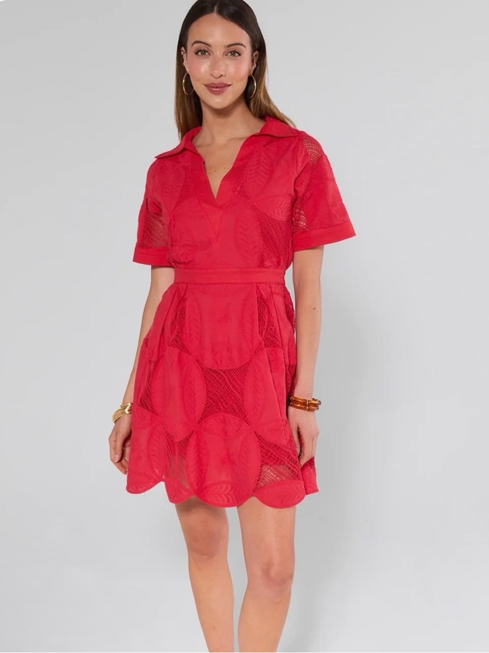 NWT Avara Annie Red netted short dress, size small